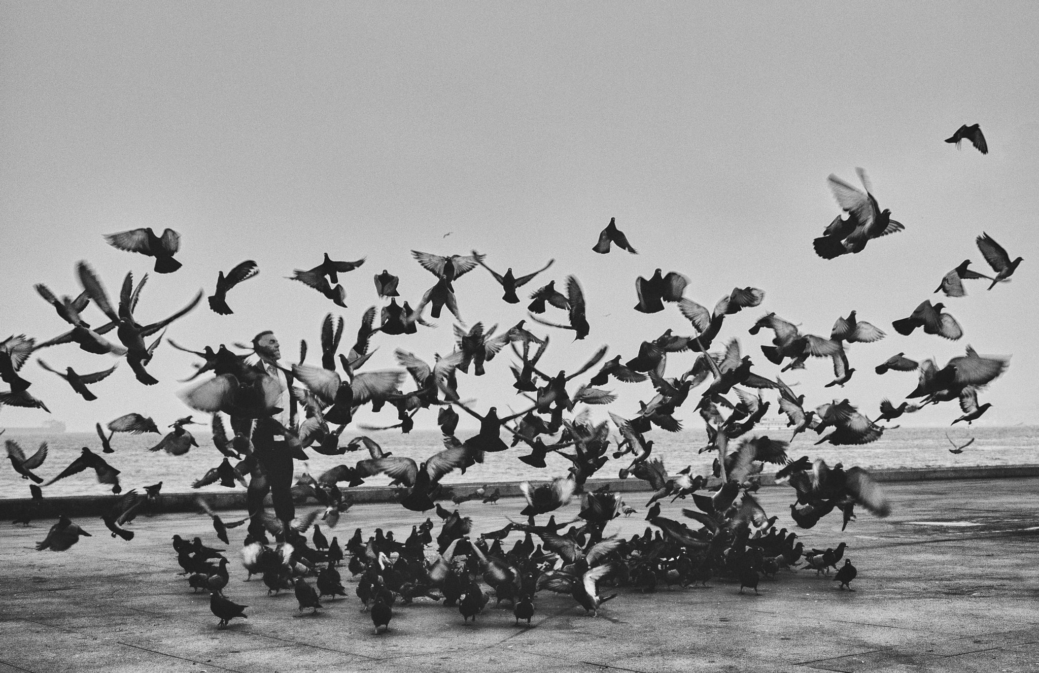 Leica Digilux 3 sample photo. Birdman photography