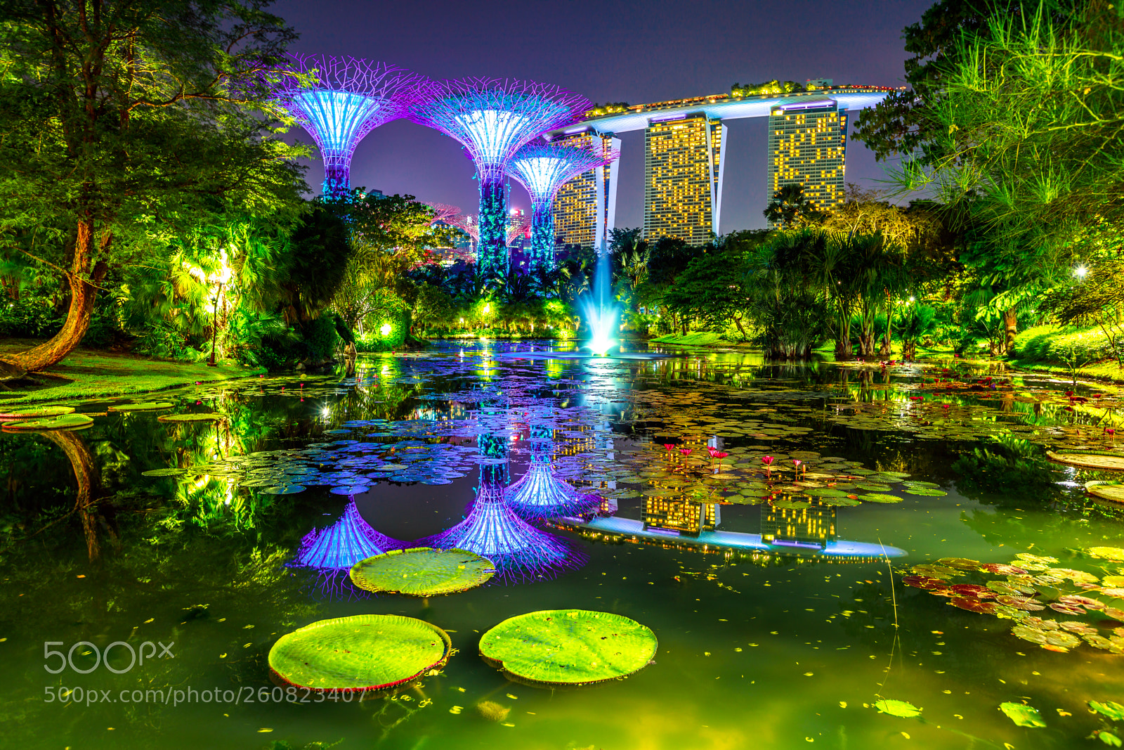 Canon EOS 5D Mark IV sample photo. Gardens by the bay photography