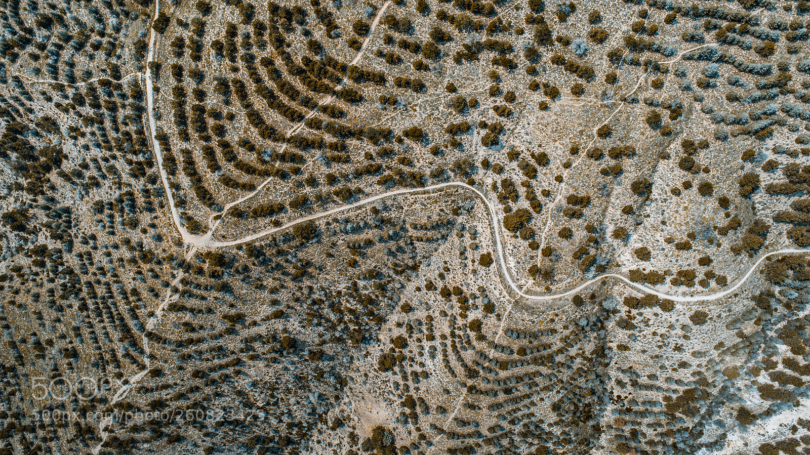 DJI FC6310 sample photo. Seldom photography