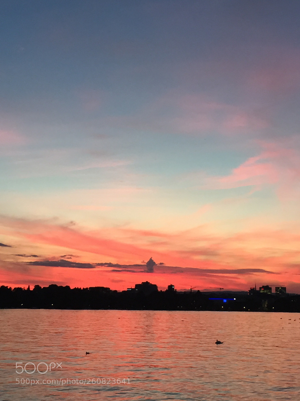 Apple iPhone 6 sample photo. The city in the photography