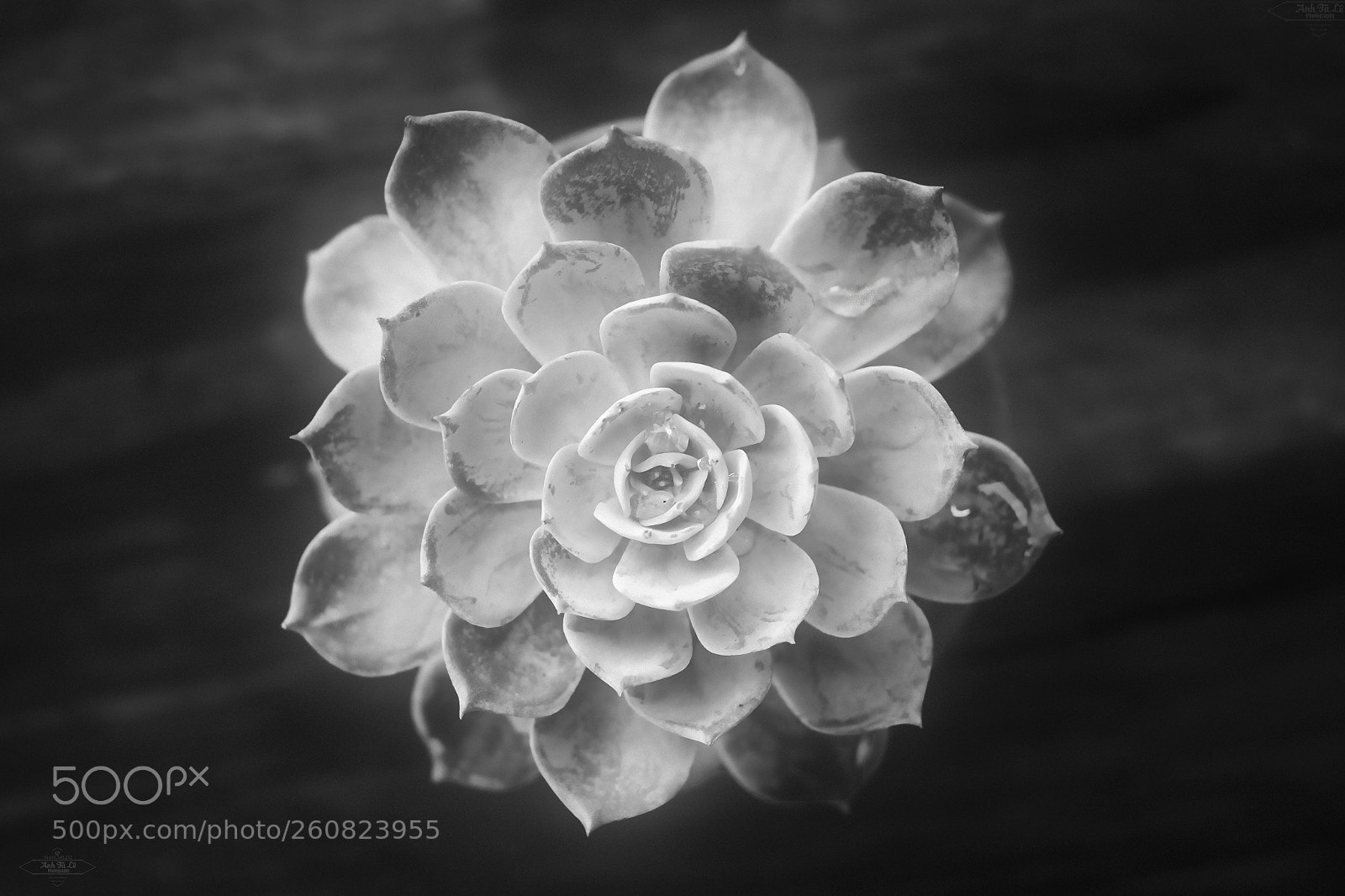Canon EOS 6D sample photo. Untitled photography