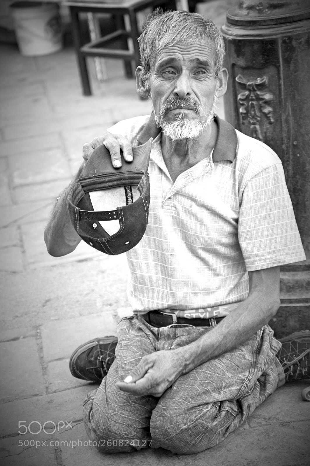 Nikon D3200 sample photo. Begging photography