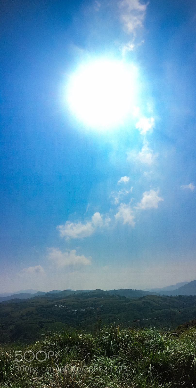 Apple iPhone 5s sample photo. Untitled photography