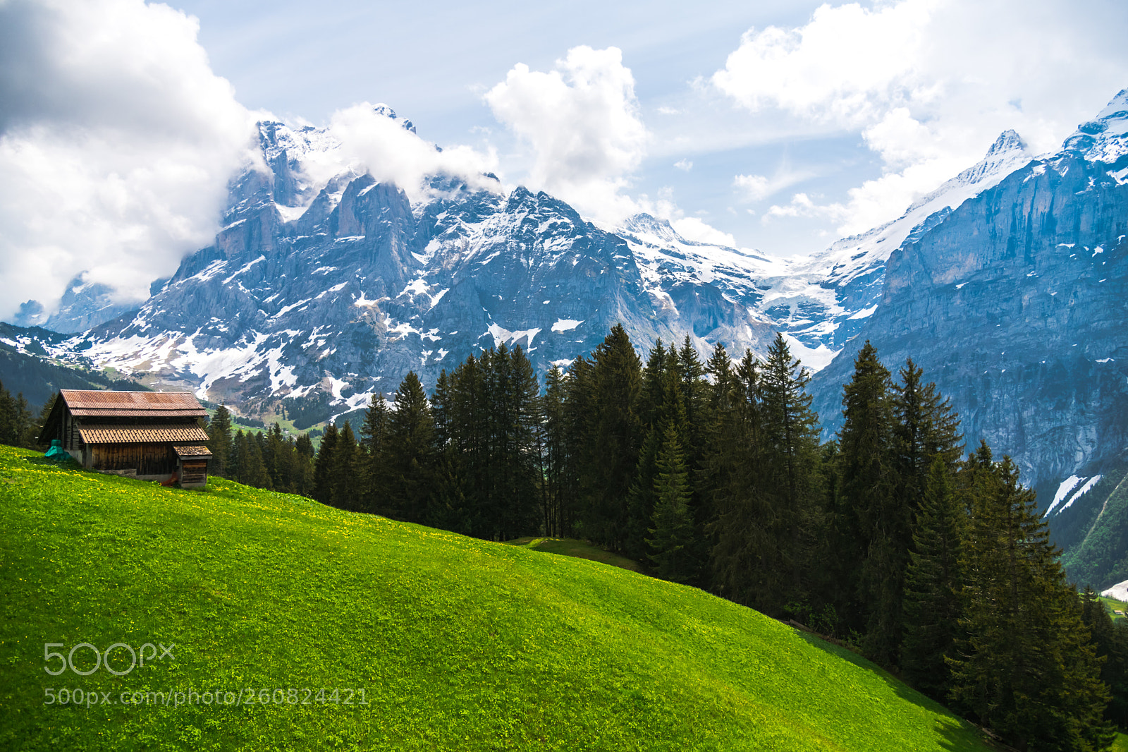 Nikon D850 sample photo. Beautiful landscape of grindelwald photography