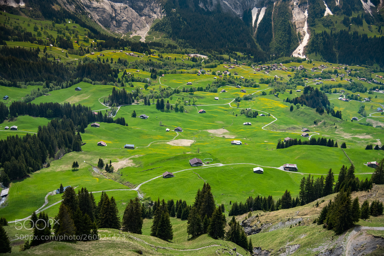 Nikon D850 sample photo. Beautiful landscape of grindelwald photography