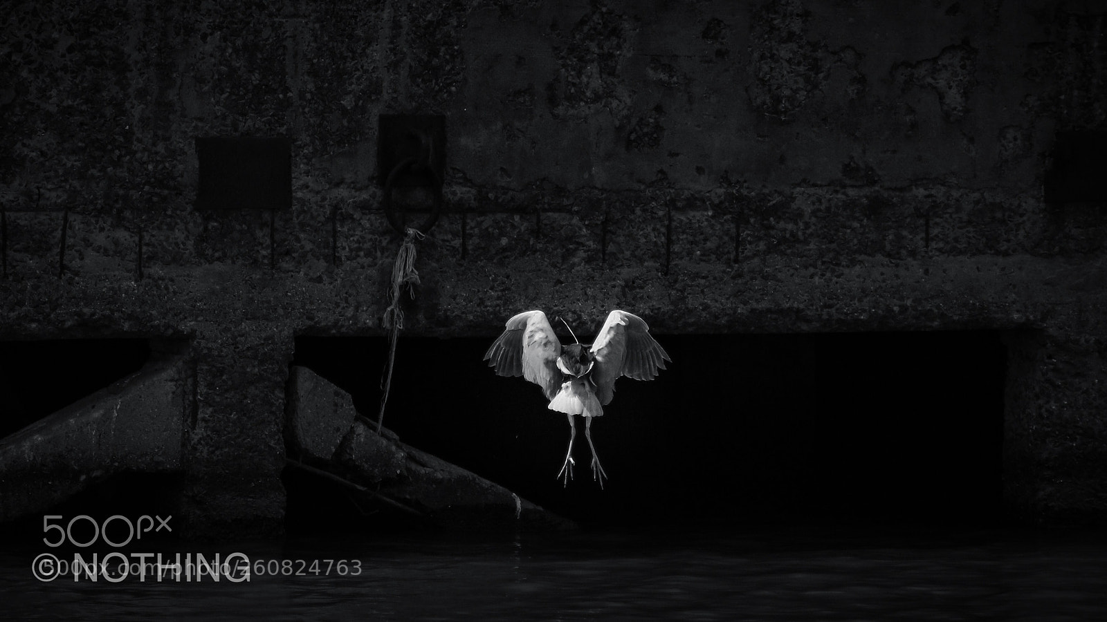 Canon EOS 5DS R sample photo. Fallen angel photography