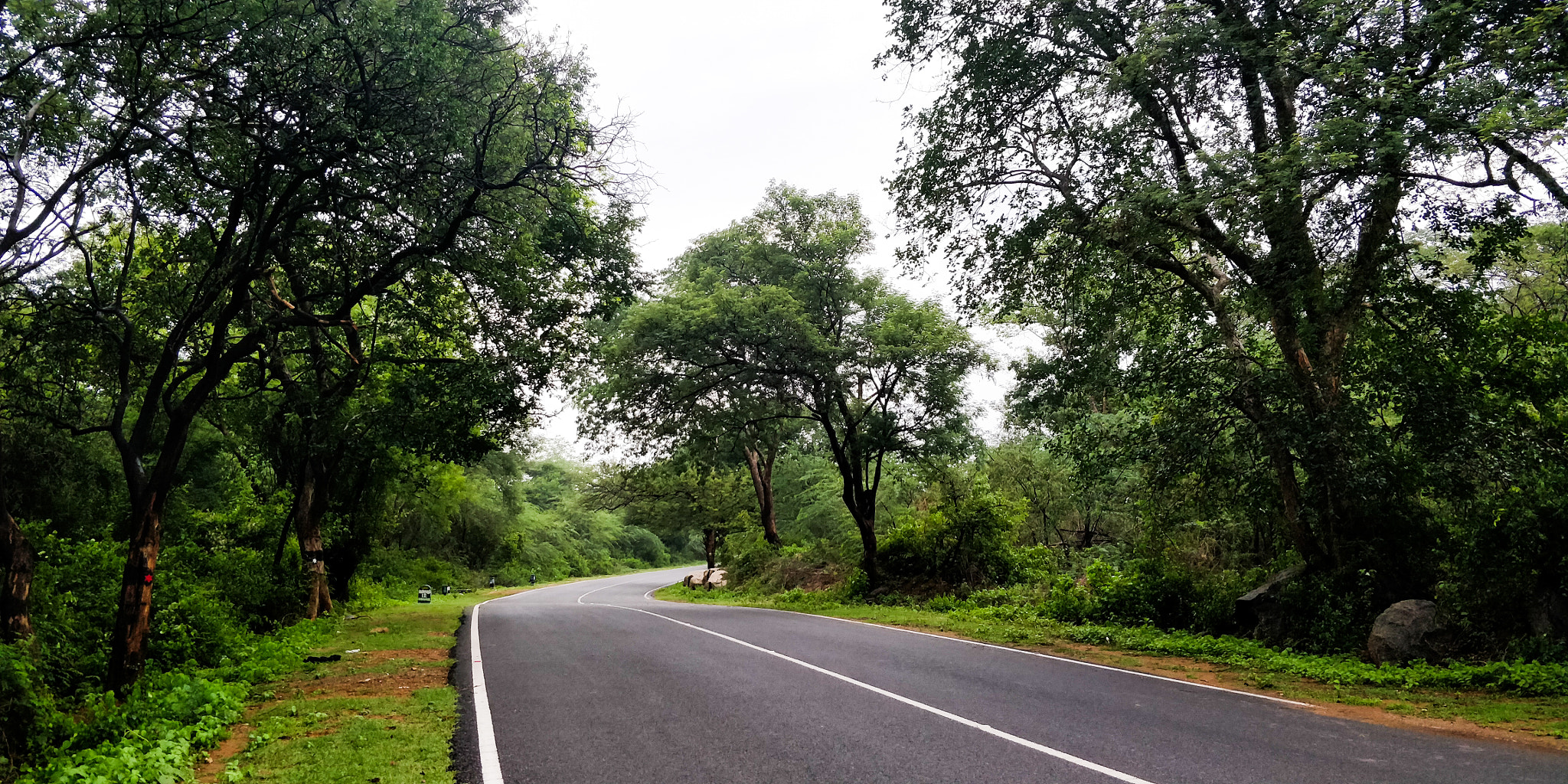 OnePlus 5T sample photo. Road photography
