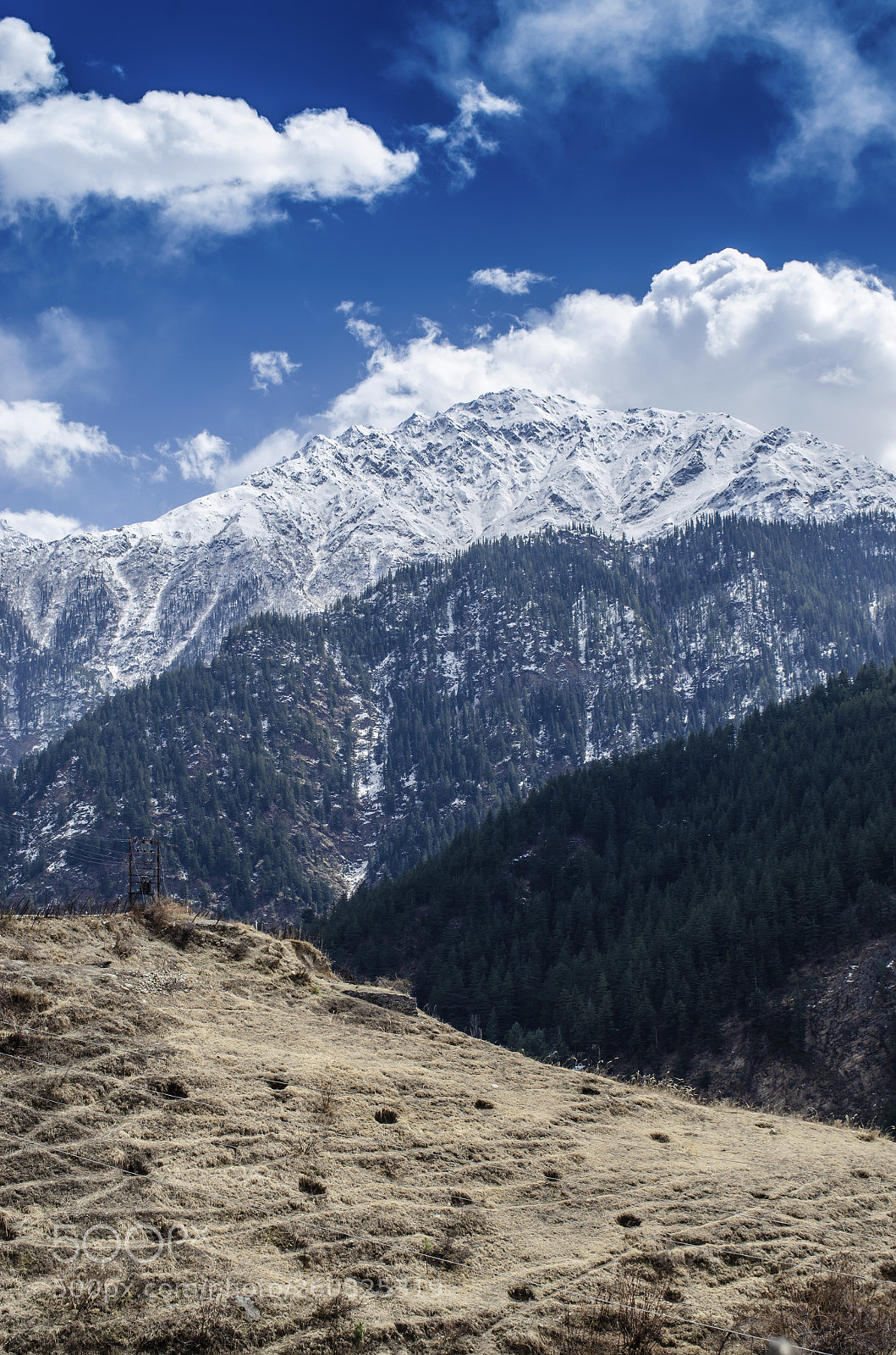 Nikon D7000 sample photo. View photography