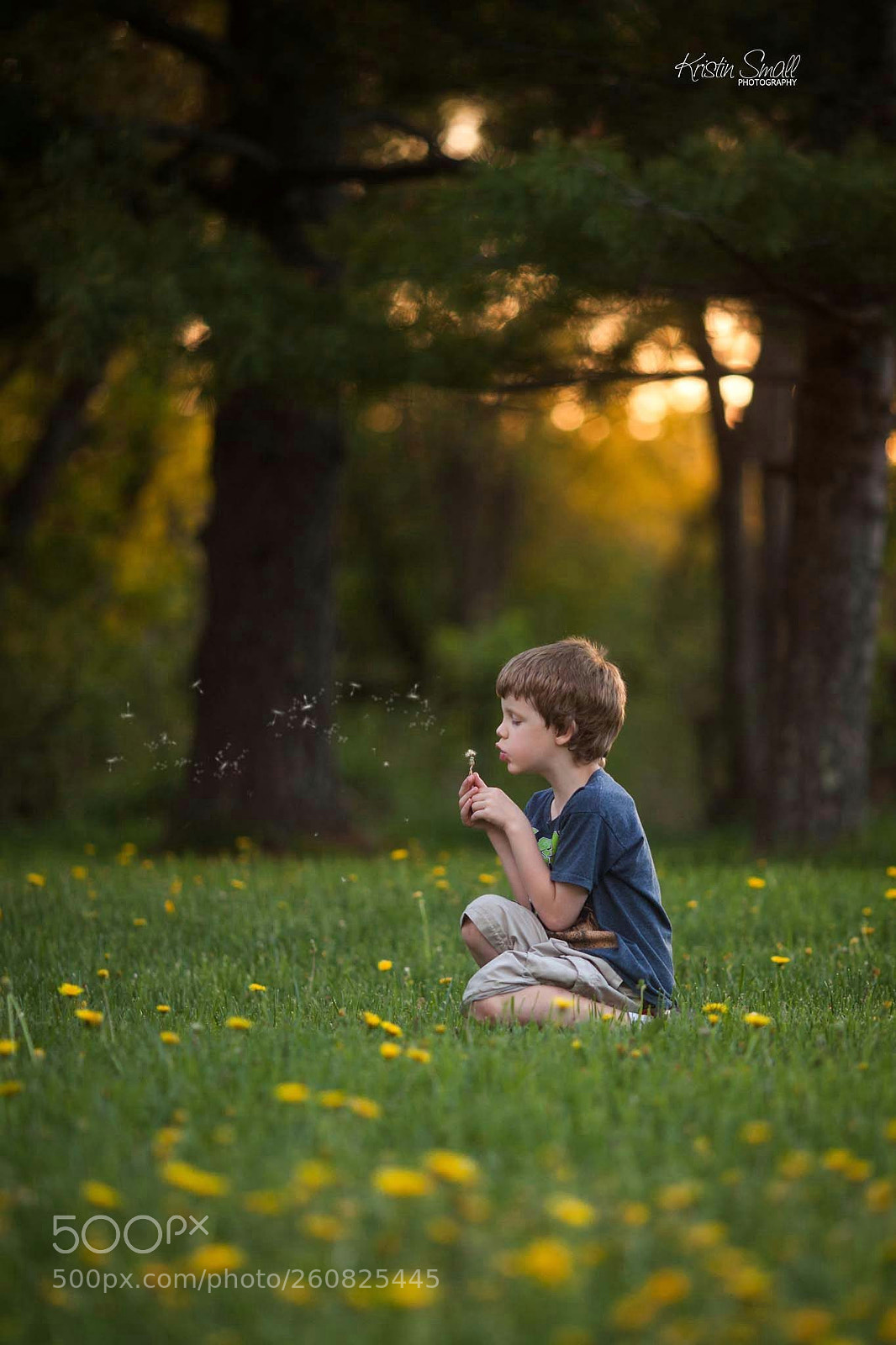 Canon EOS 5D Mark II sample photo. Wishes come true photography