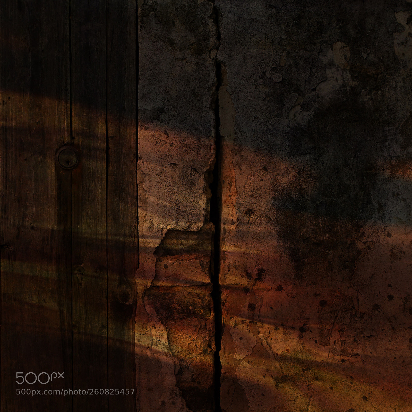 Canon EOS 5DS R sample photo. Untitled photography