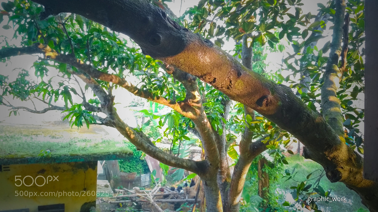 Xiaomi Redmi 4X sample photo. Img_20171105_074345.jpg photography
