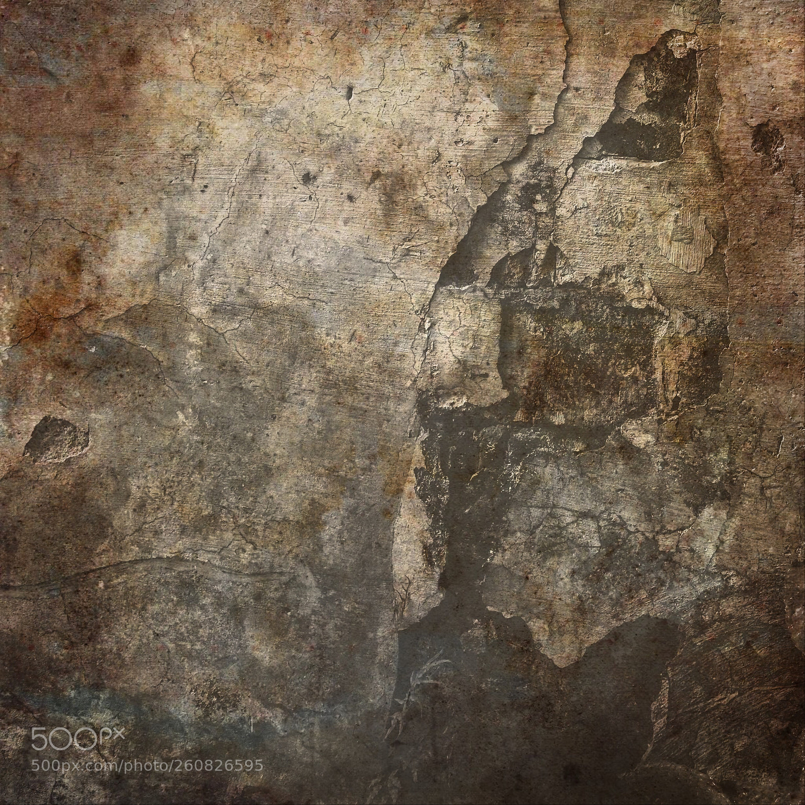 Canon EOS 5DS R sample photo. Untitled photography
