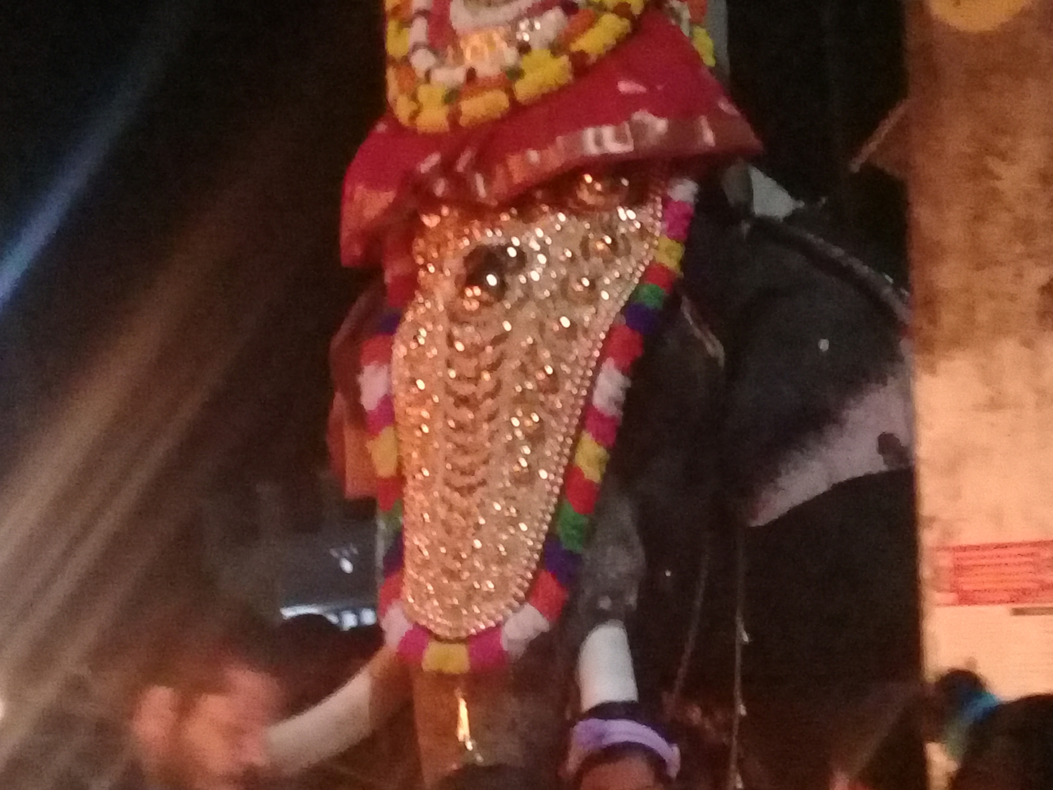 Samsung Galaxy J2 Prime sample photo. Elephant photography