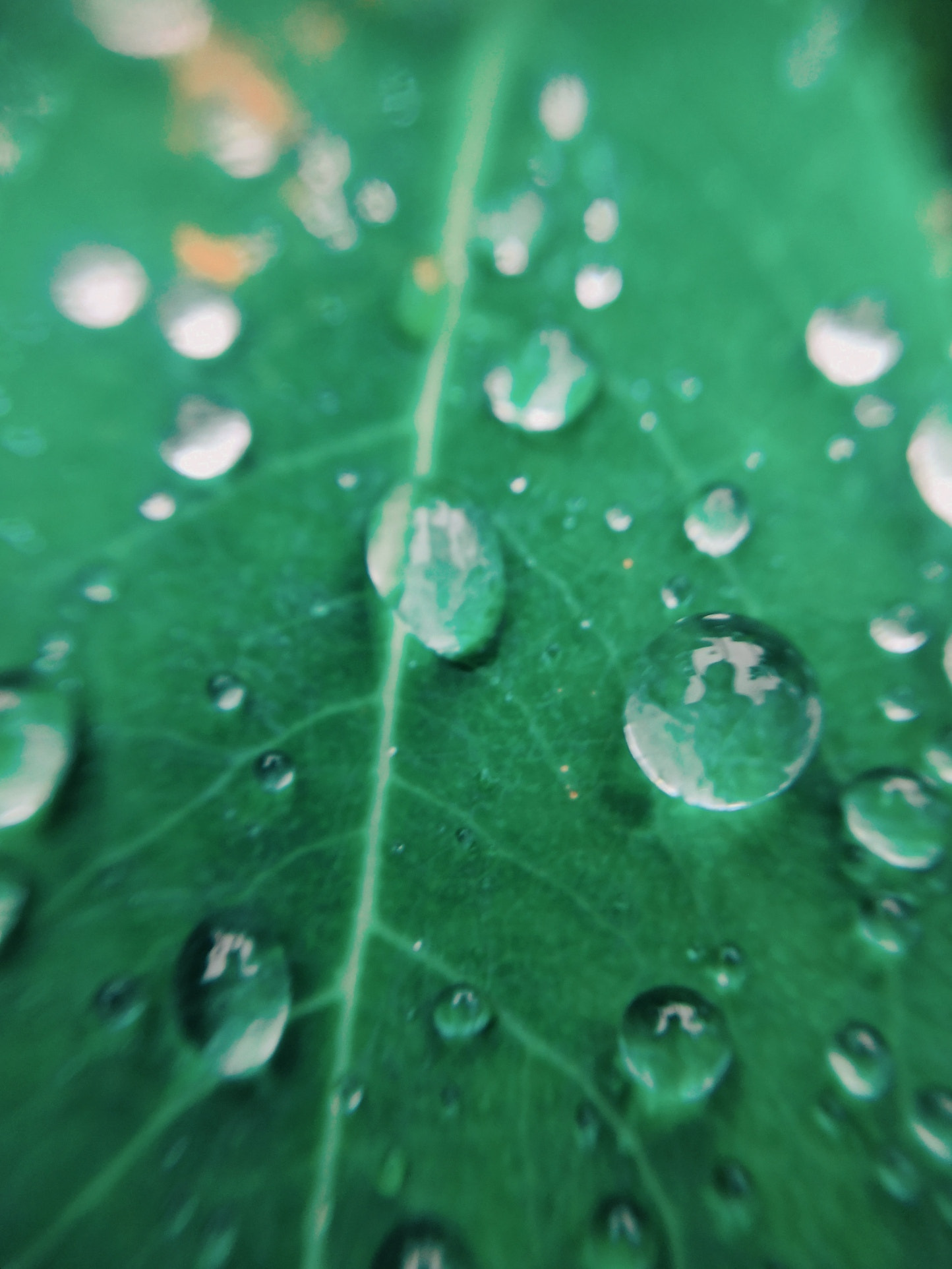 HUAWEI Honor 10 sample photo. Waterdrop，2 photography