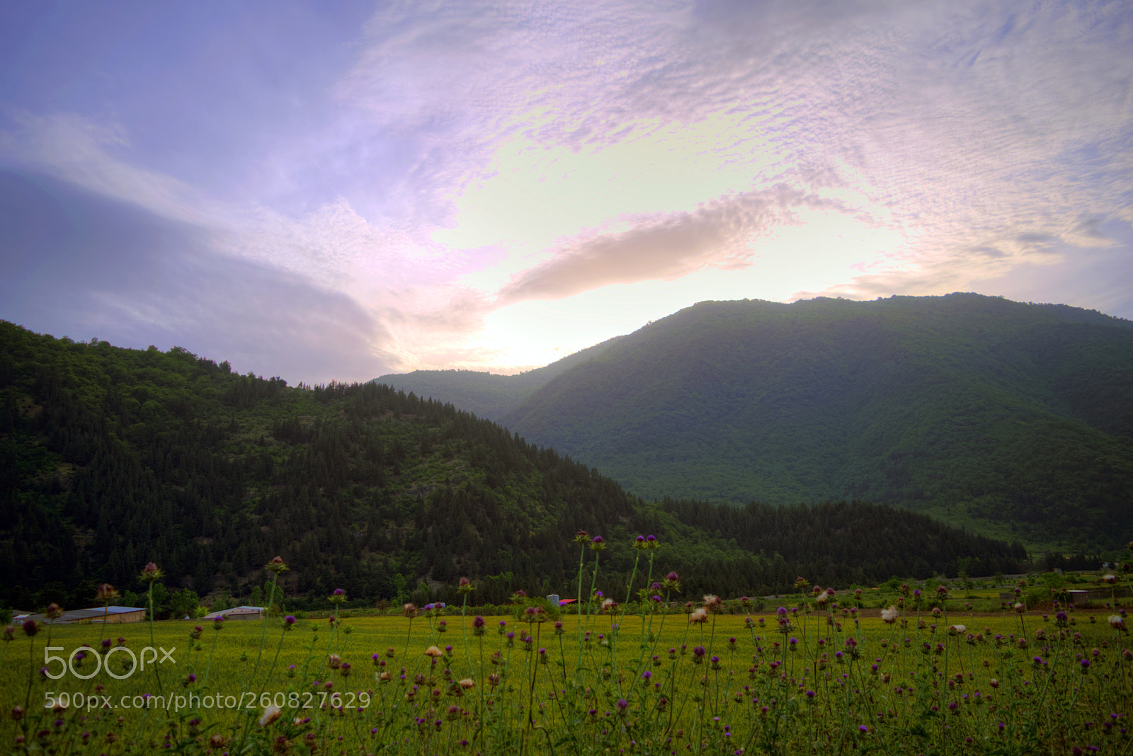 Nikon D3300 sample photo. Purple sky photography