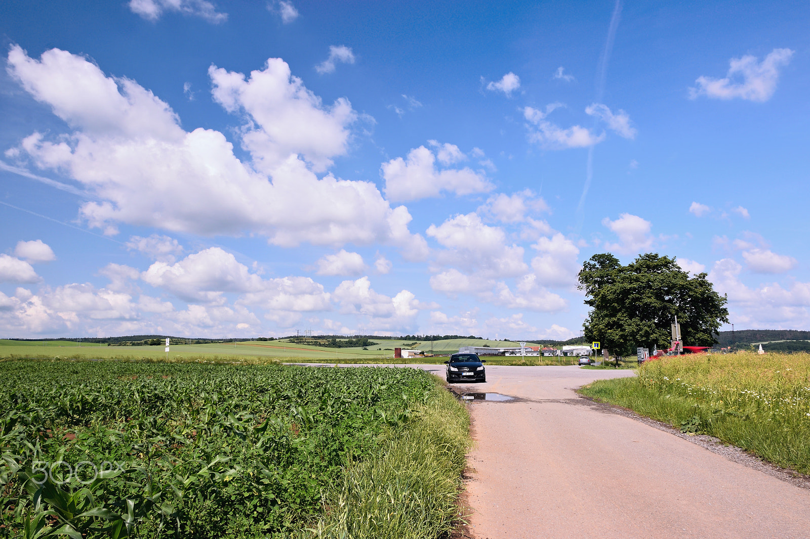 Nikon D5300 sample photo. Veverske kninice, czech republic - june 02, 2018: spring moravian landscape with path between... photography