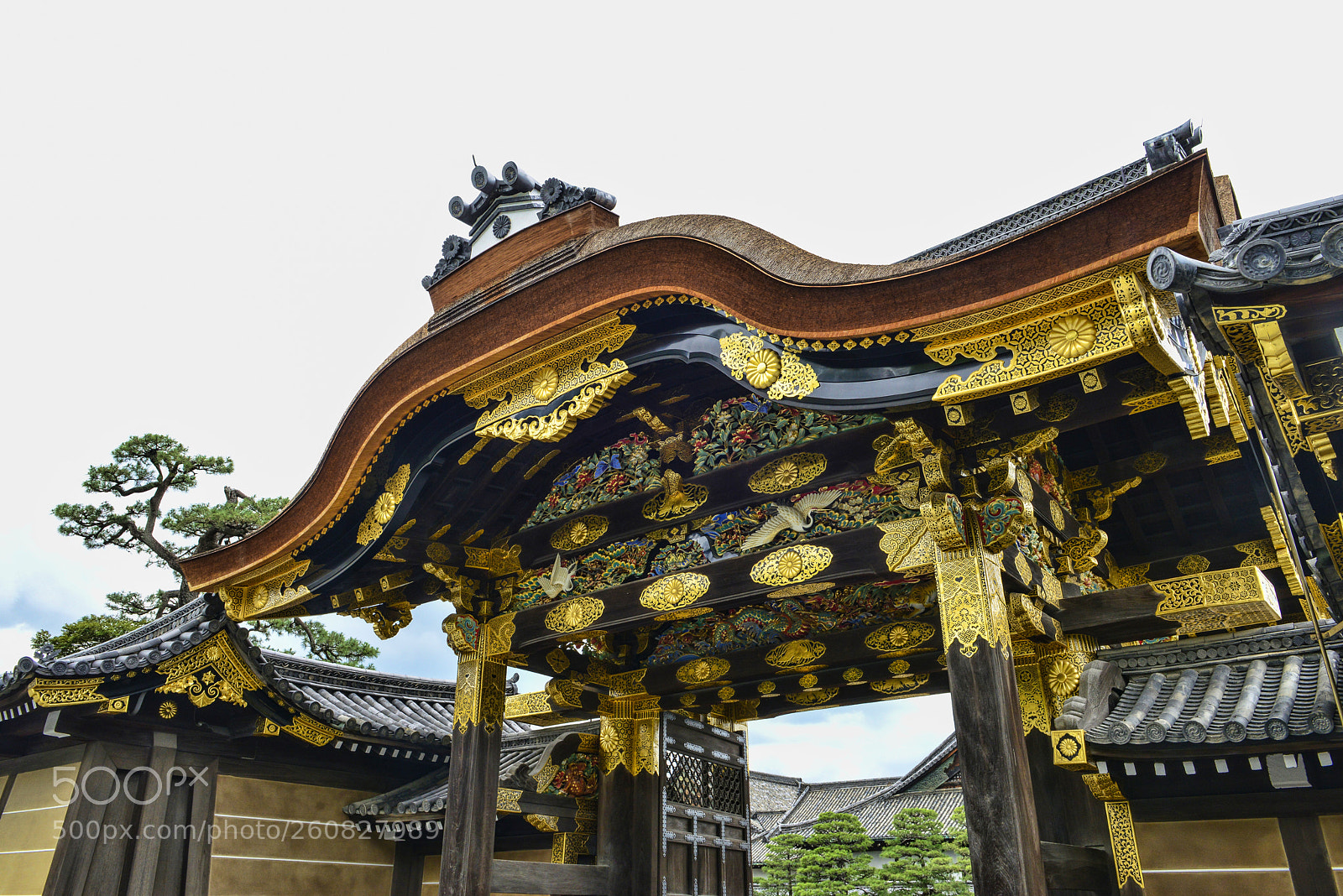 Nikon D800 sample photo. Pompous gate photography