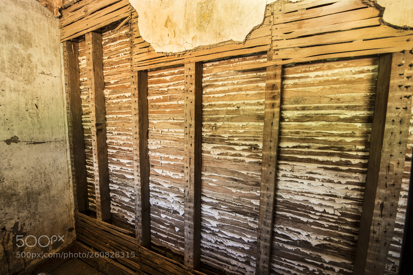 Nikon D600 sample photo. Back wall photography