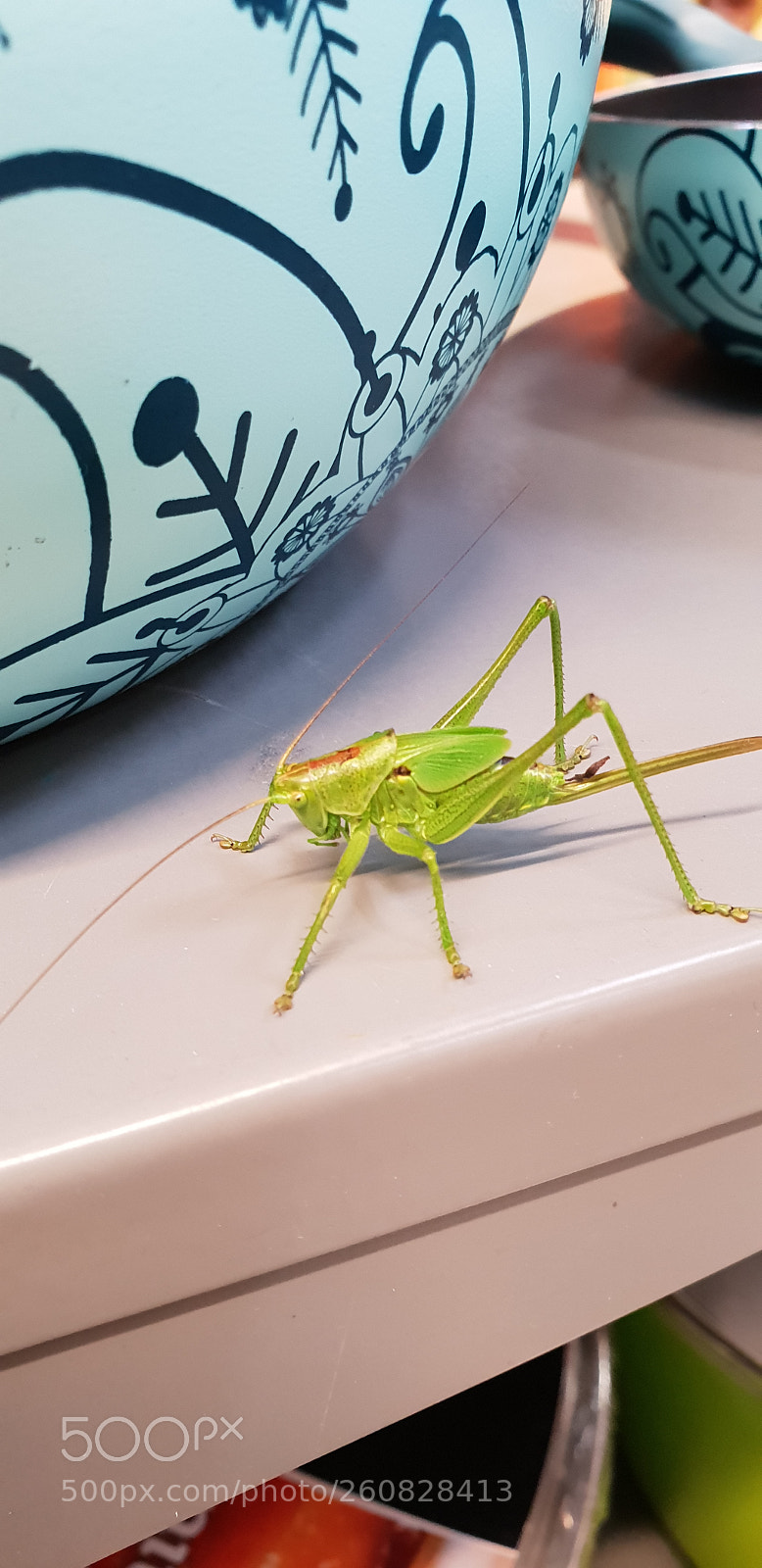 Samsung Galaxy S9+ sample photo. Untitled photography