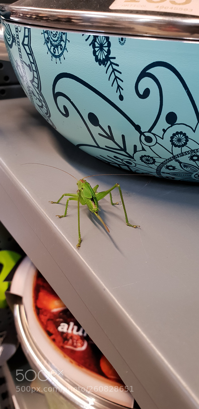Samsung Galaxy S9+ sample photo. Untitled photography