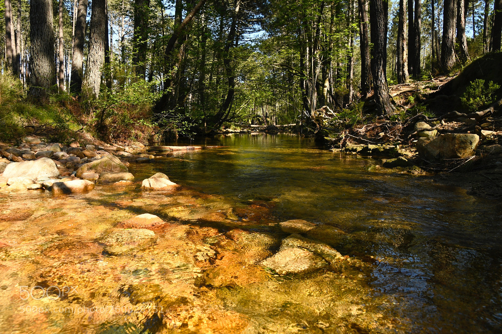 Nikon D7500 sample photo. Cascade en rando corse photography