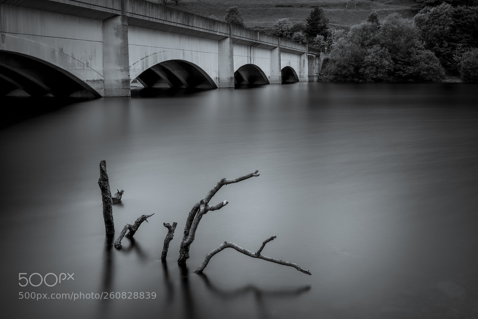 Nikon D810 sample photo. Ladybower viaduct photography