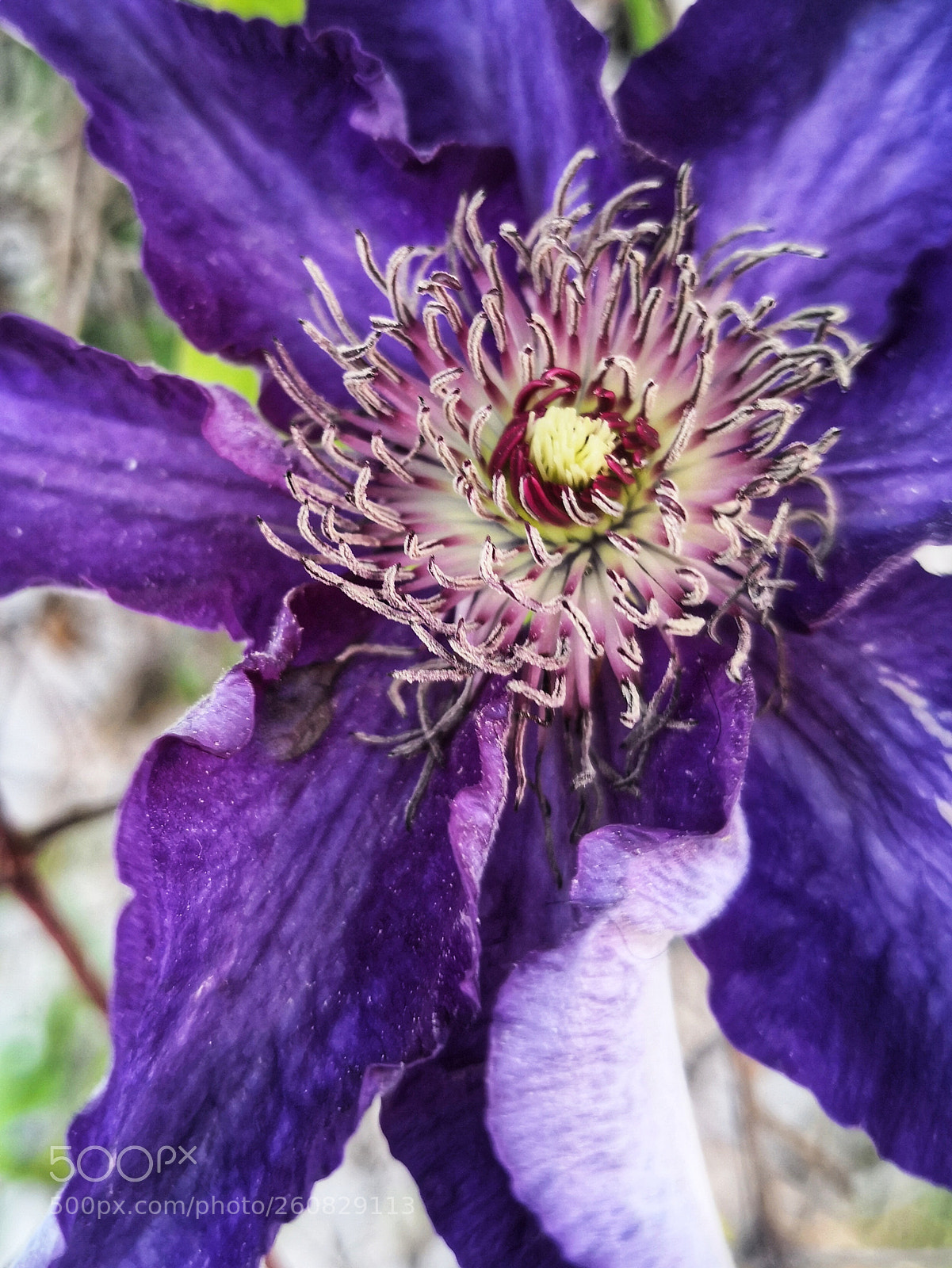 HUAWEI Mate 10 Pro sample photo. Untitled photography