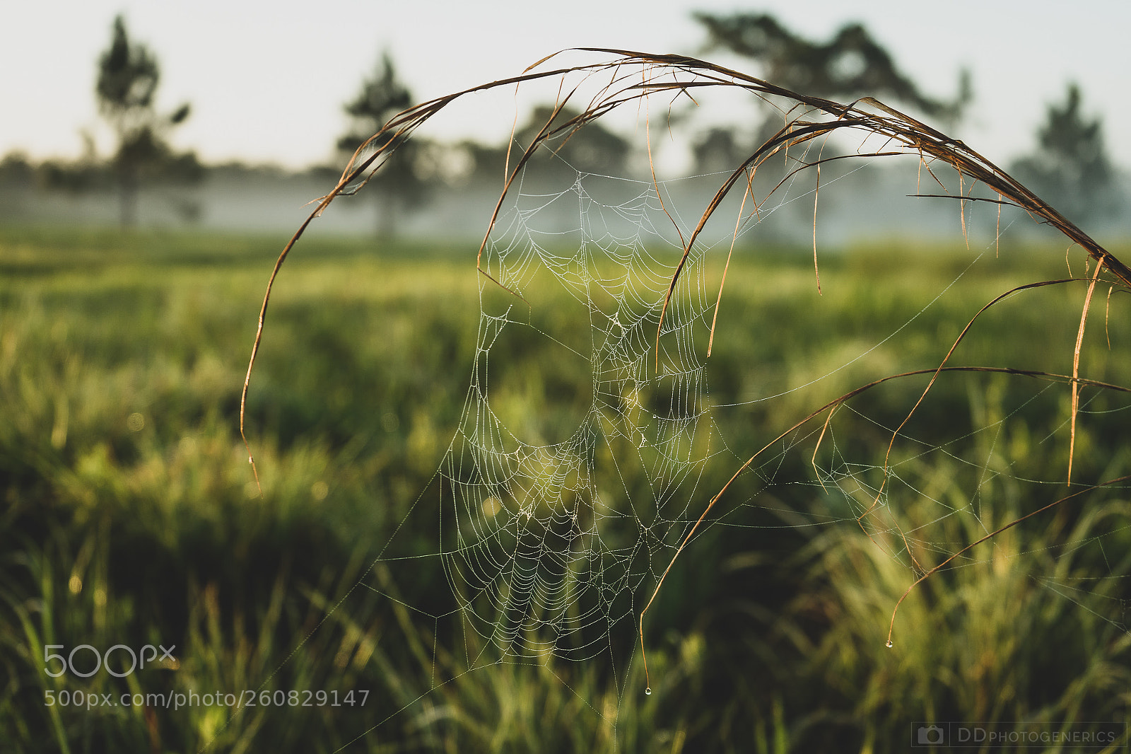 Sony a7 sample photo. Empty photography