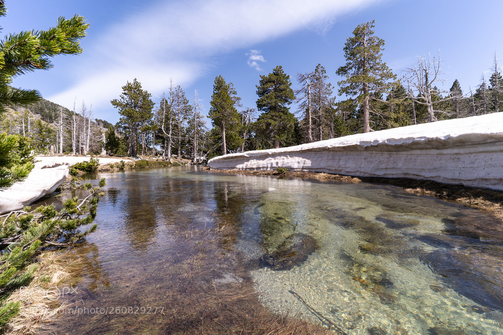 Sony a7 III sample photo. Spring in the pyrenees photography