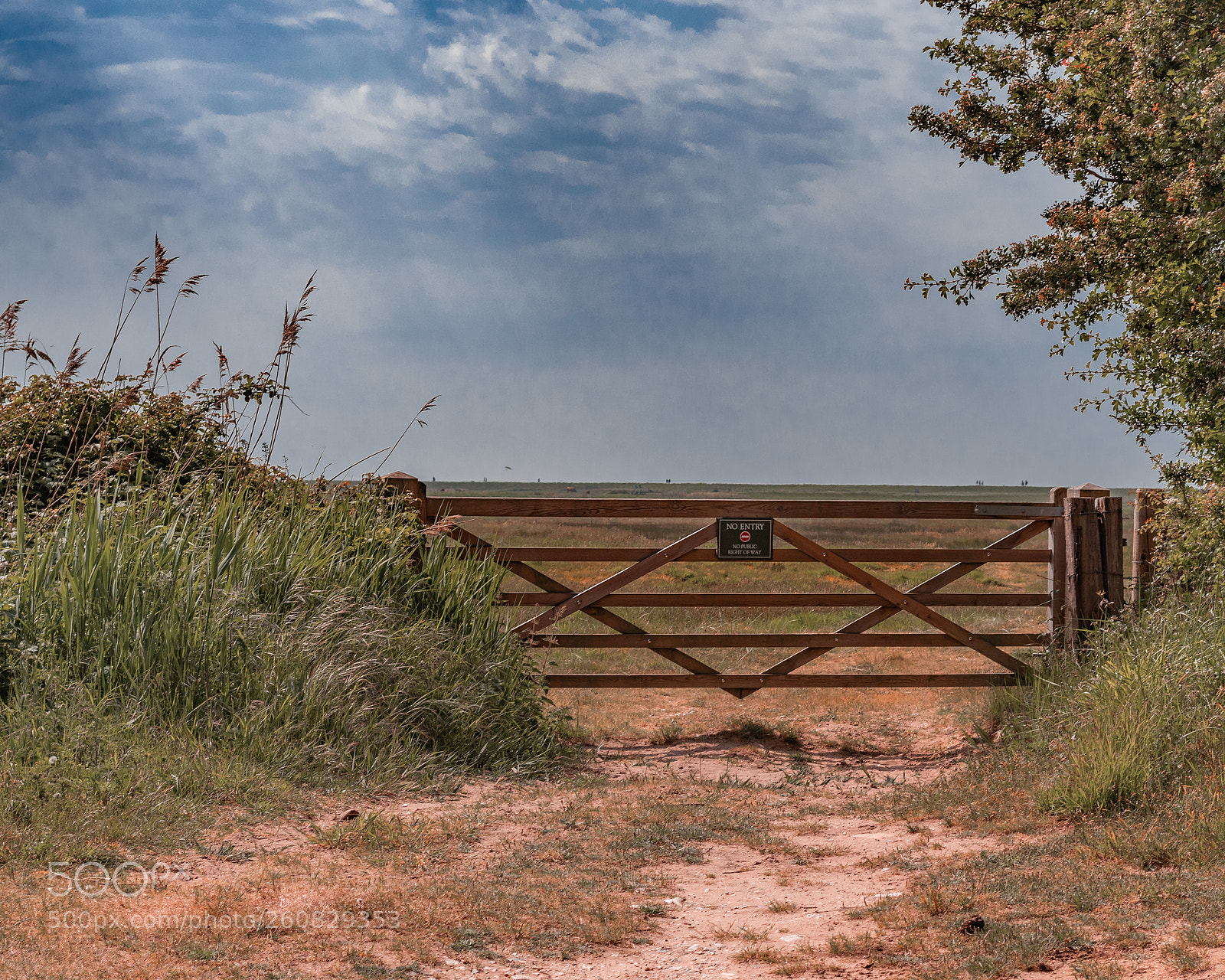 Canon EOS 77D (EOS 9000D / EOS 770D) sample photo. Fence photography