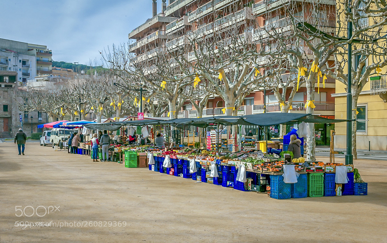 Canon EOS 5D sample photo. Untitled photography