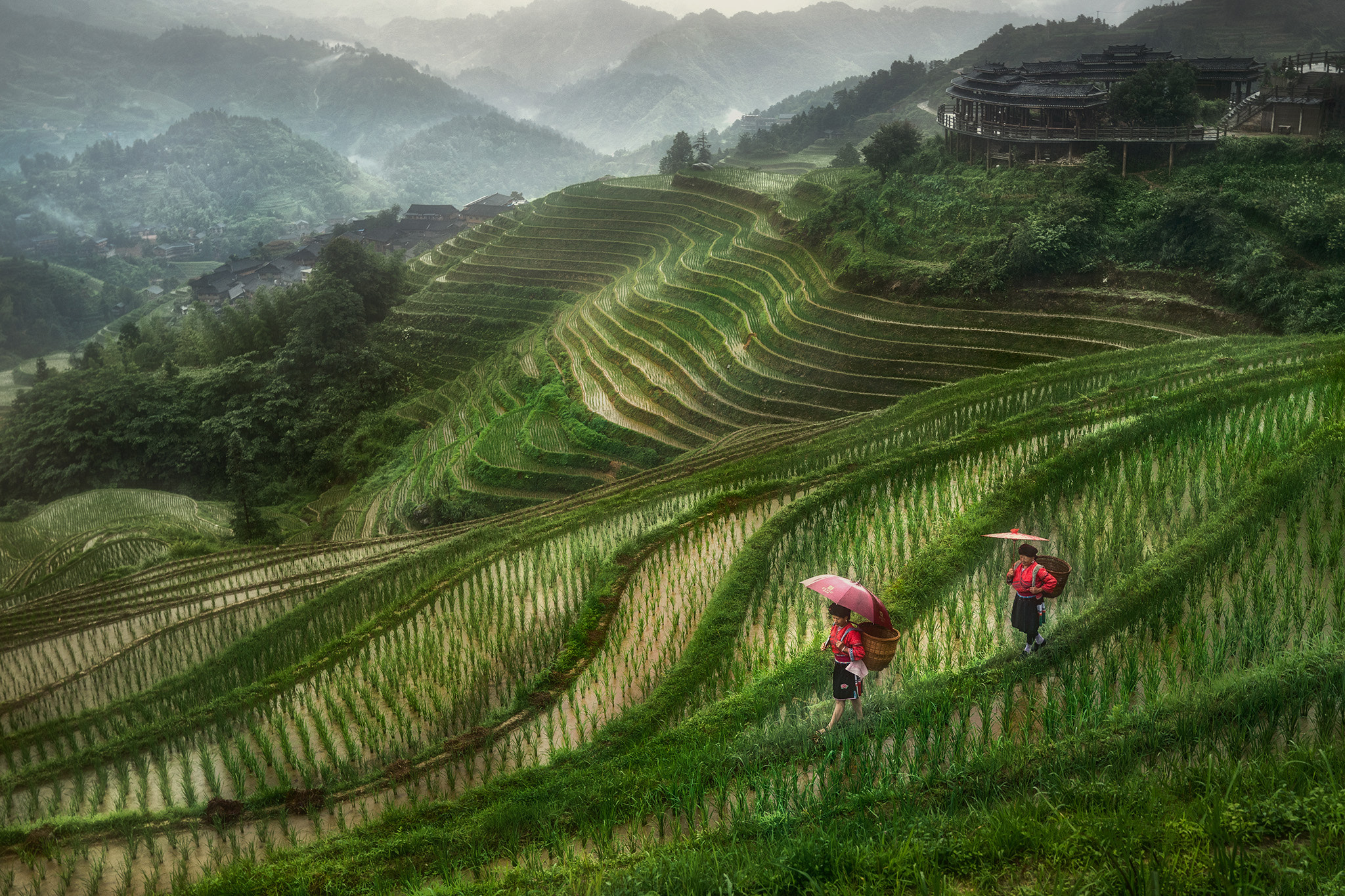 Sony a9 sample photo. Longsheng rice terraces photography