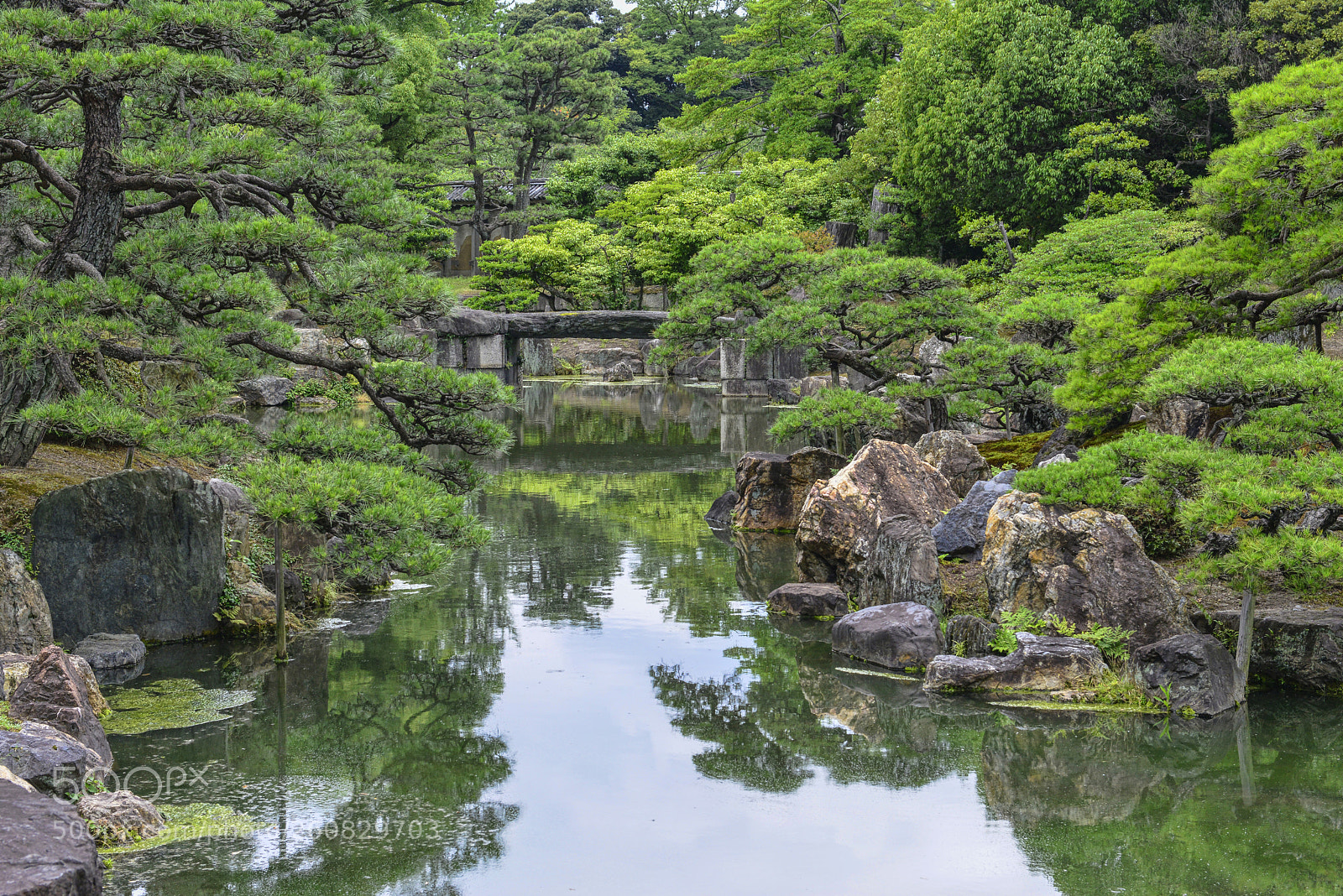 Nikon D800 sample photo. Nijō castle gardens 2 photography
