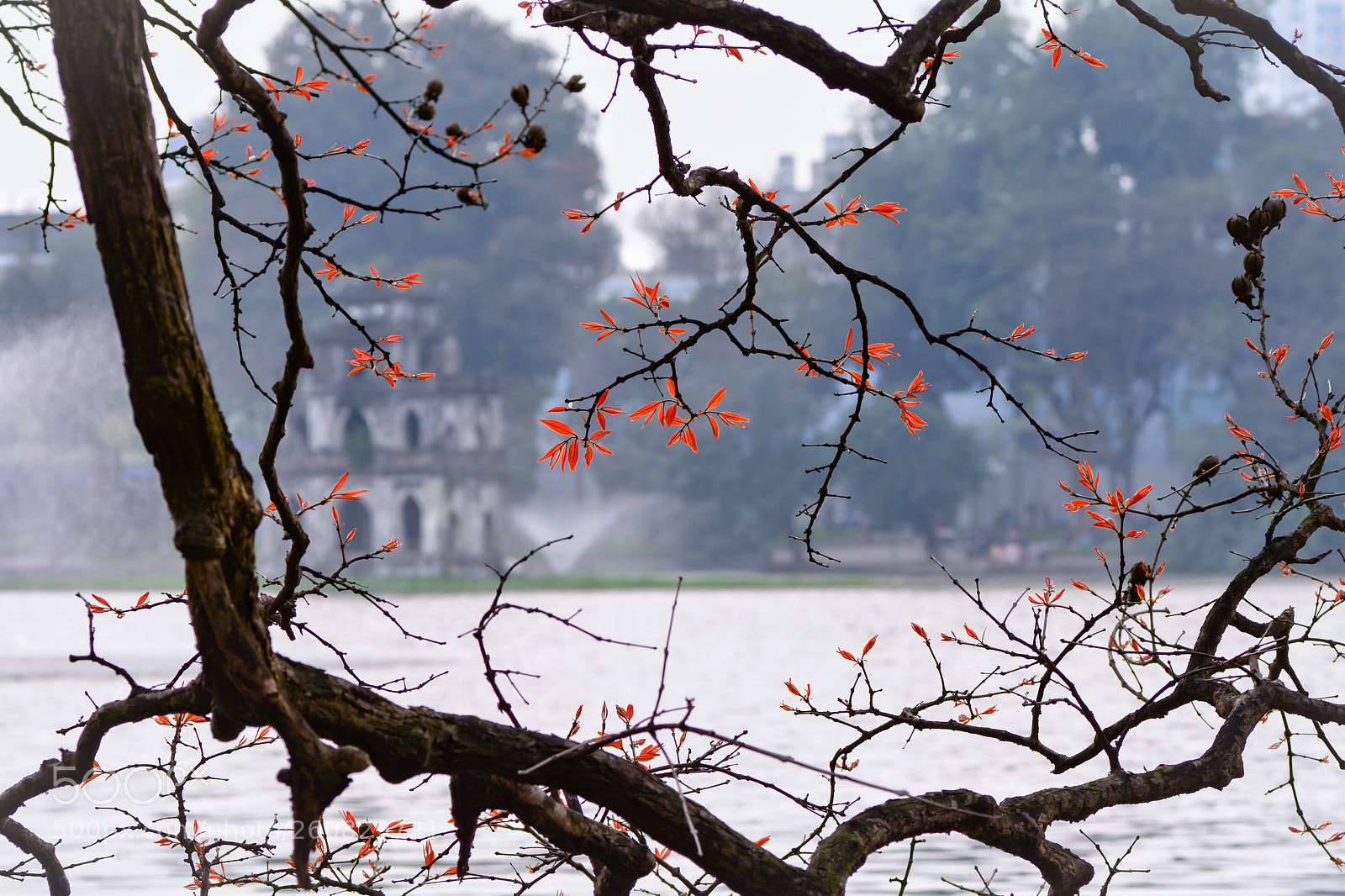 Nikon D7100 sample photo. Untitled photography