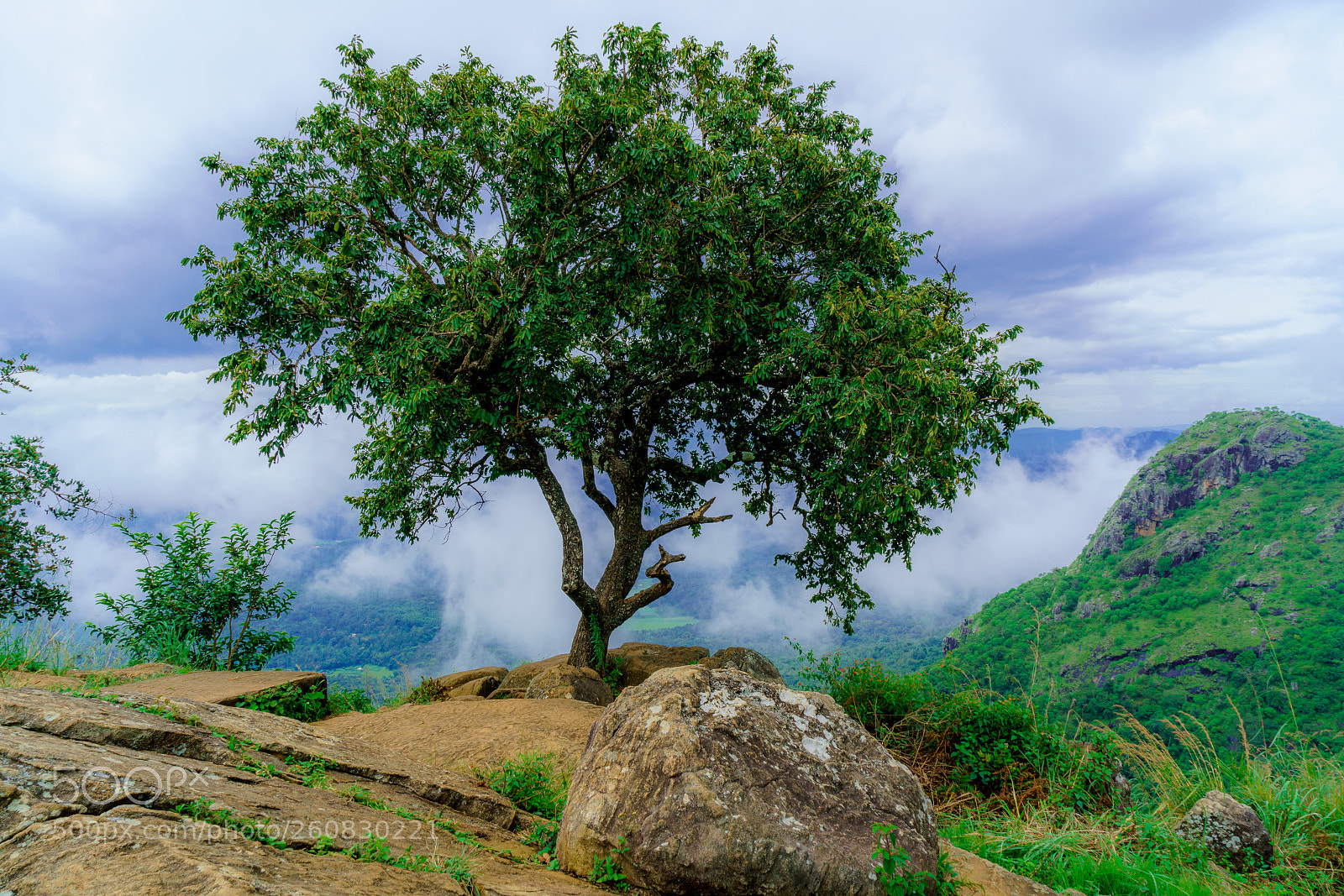 Sony a7R II sample photo. A hill view photography
