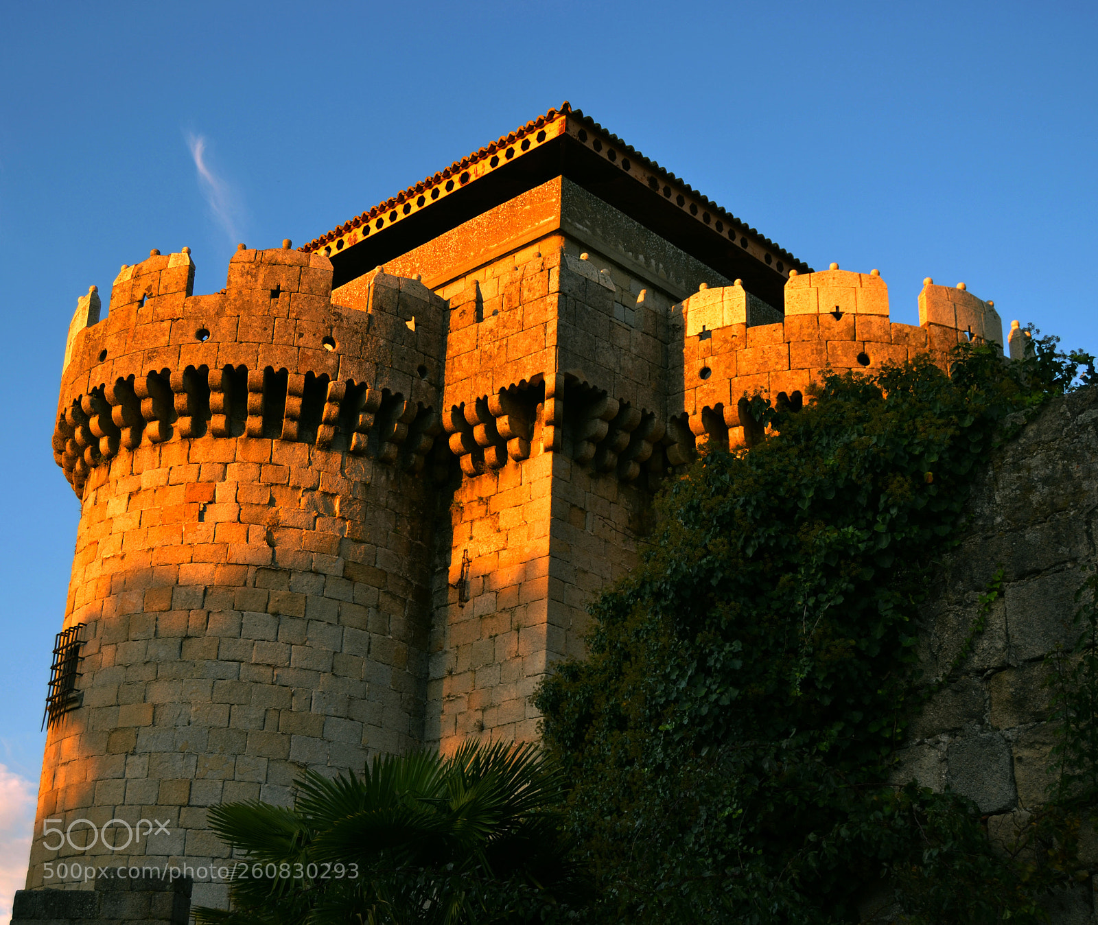 Nikon D3100 sample photo. Granadilla photography