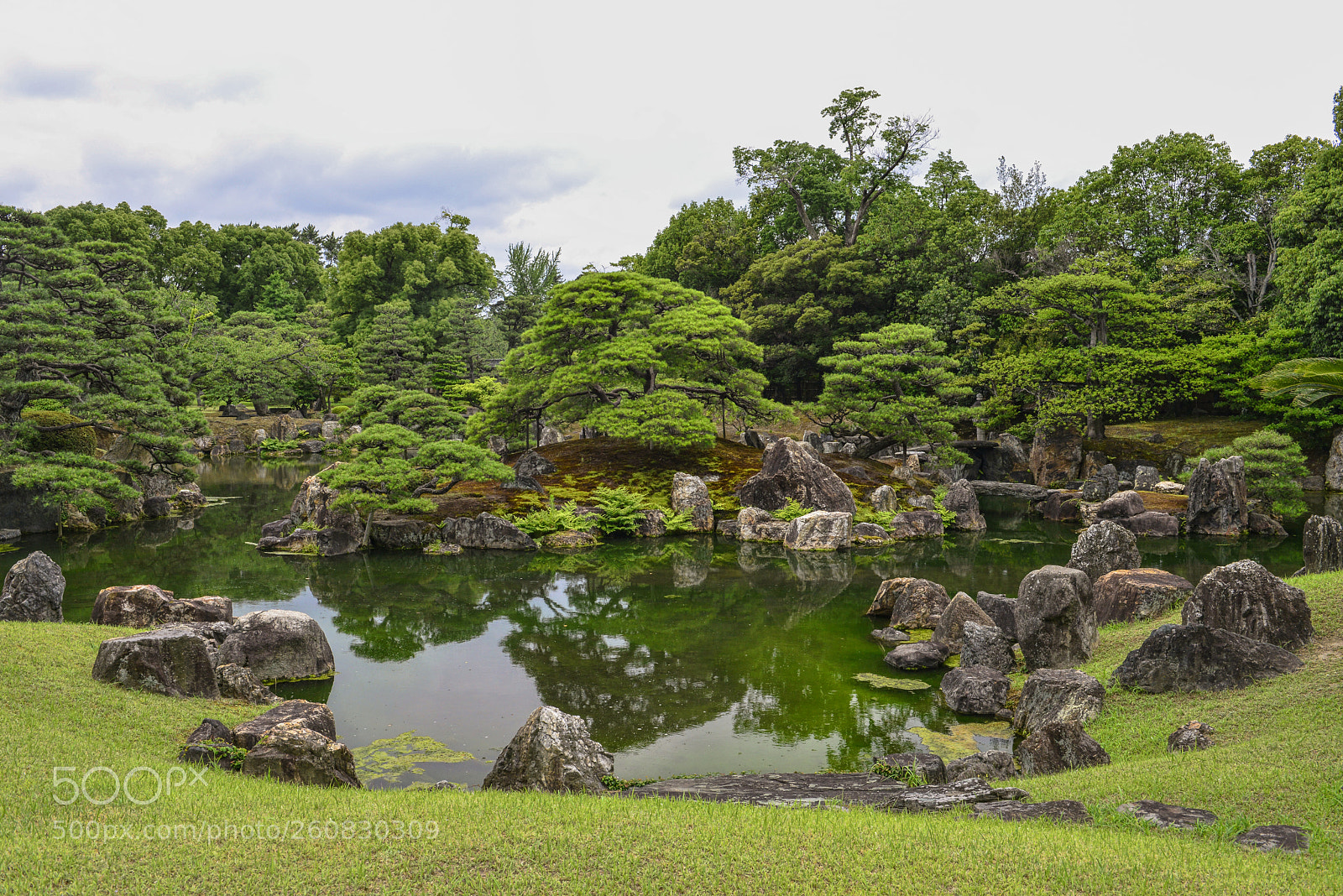 Nikon D800 sample photo. Nijō castle gardens photography