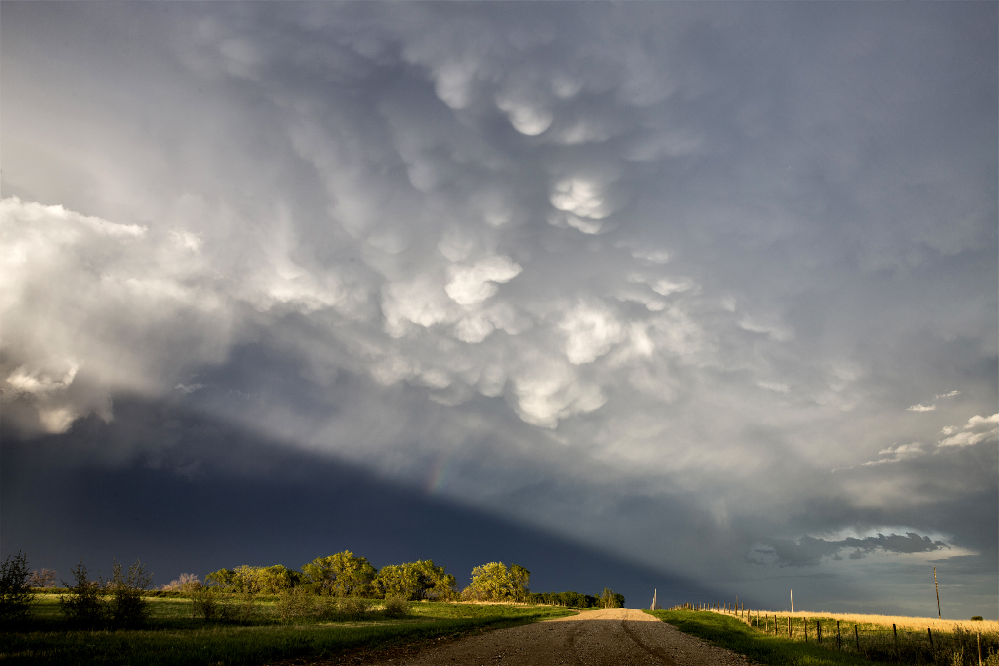 Canon EOS-1Ds Mark III sample photo. Stormy saskatchewan photography