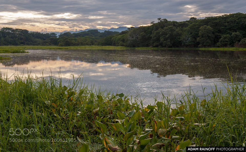 Canon EOS 70D sample photo. La charca de guarinocito photography