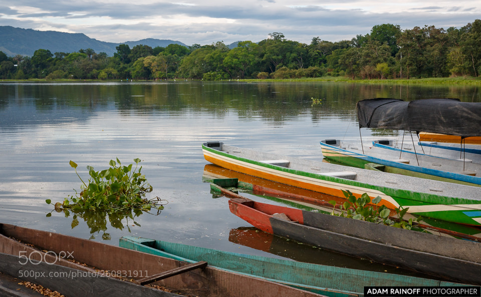 Canon EOS 70D sample photo. La charca de guarinocito photography