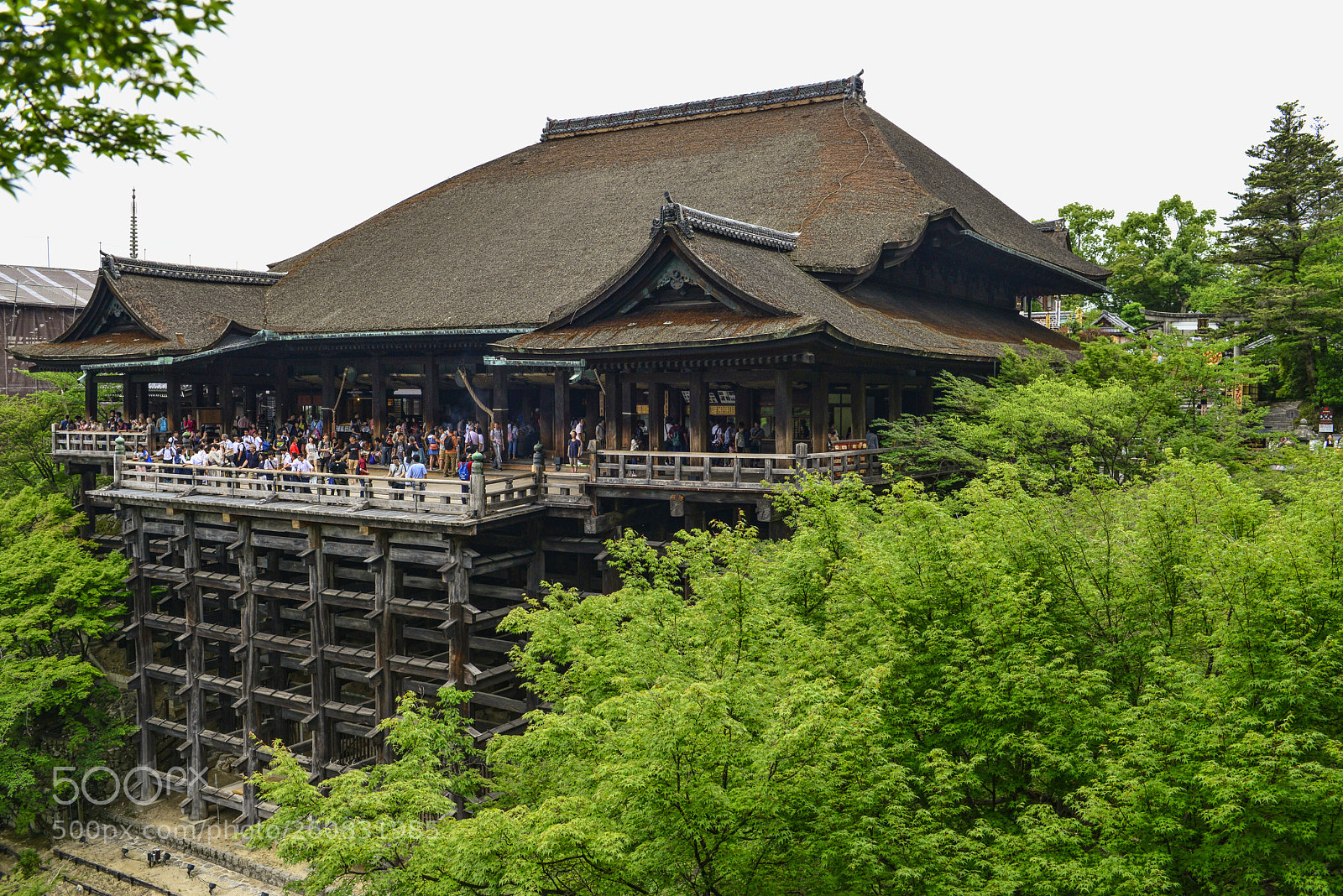Nikon D800 sample photo. Otowa-san kiyomizu-dera (音羽山清水寺) photography