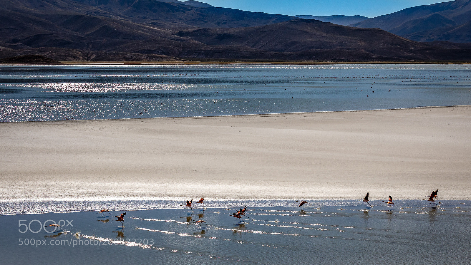 Canon EOS 5D Mark IV sample photo. Bolivia, altiplano laguna saqueaa photography