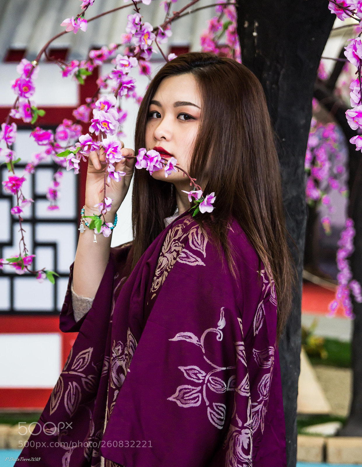 Canon EOS 600D (Rebel EOS T3i / EOS Kiss X5) sample photo. Haori from kyoto photography