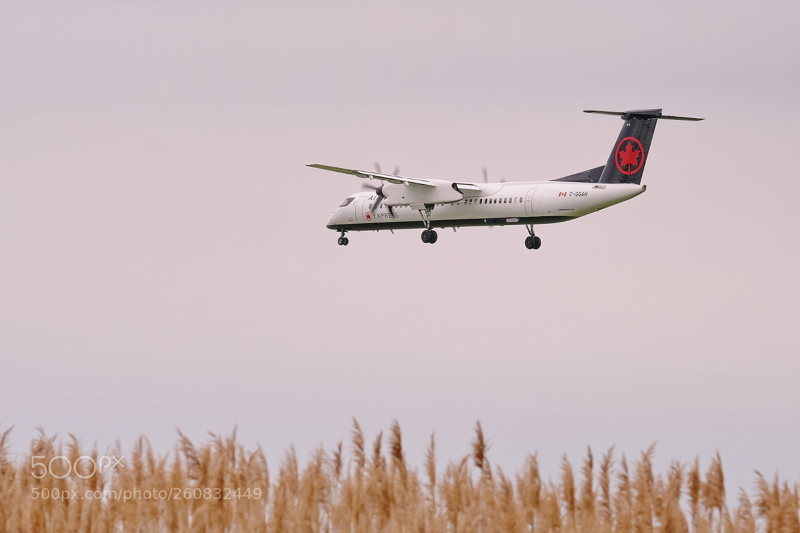 Fujifilm X-Pro2 sample photo. Landing field photography