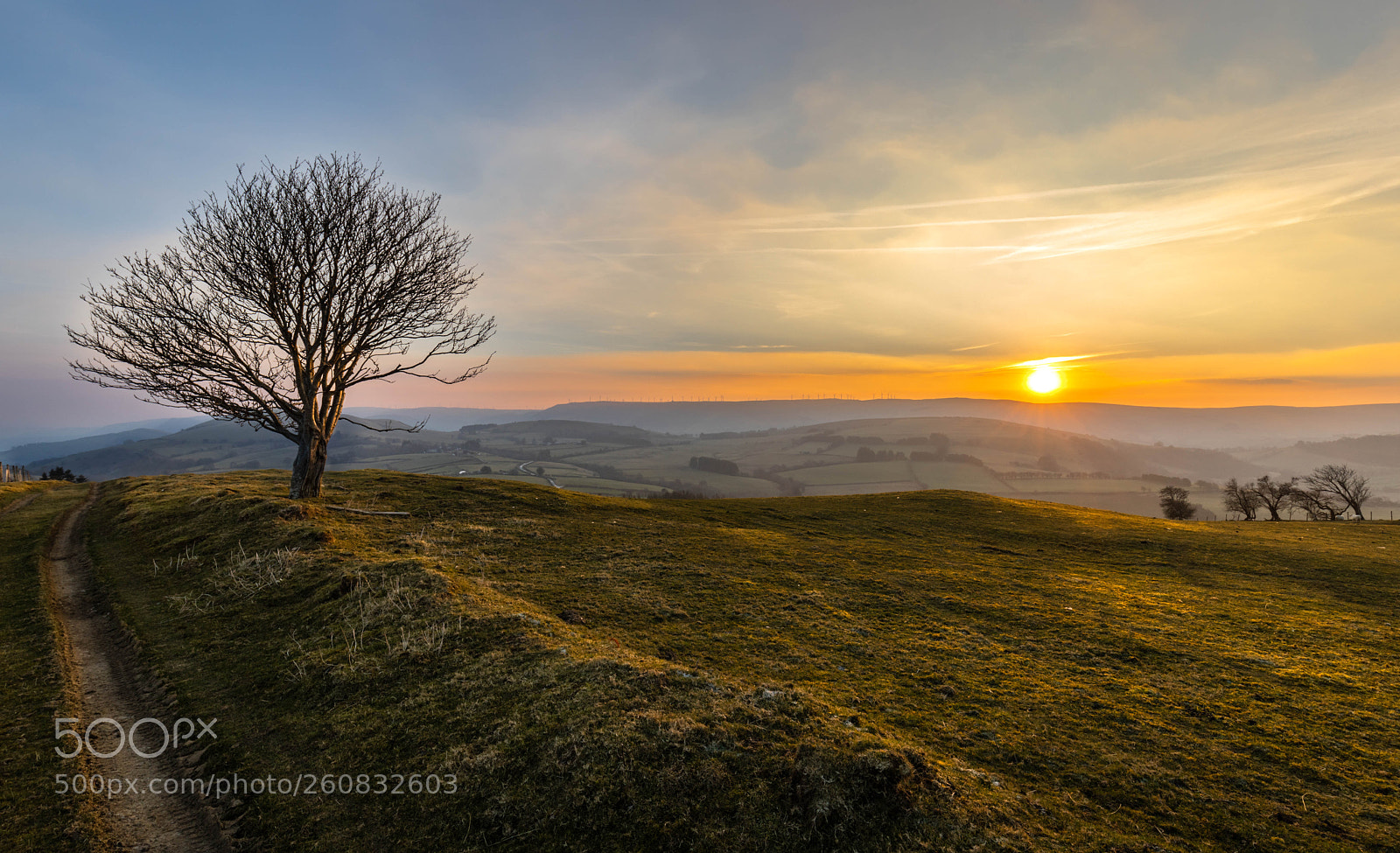 Canon EOS 5D Mark IV sample photo. Hazy spring evening photography