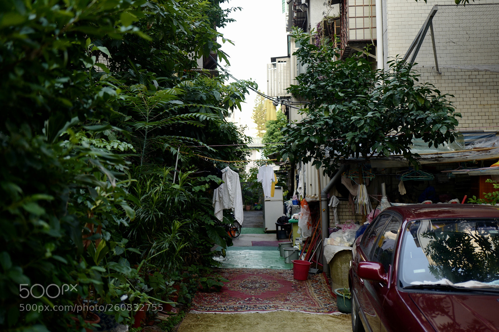 Leica Q (Typ 116) sample photo. 日常 photography