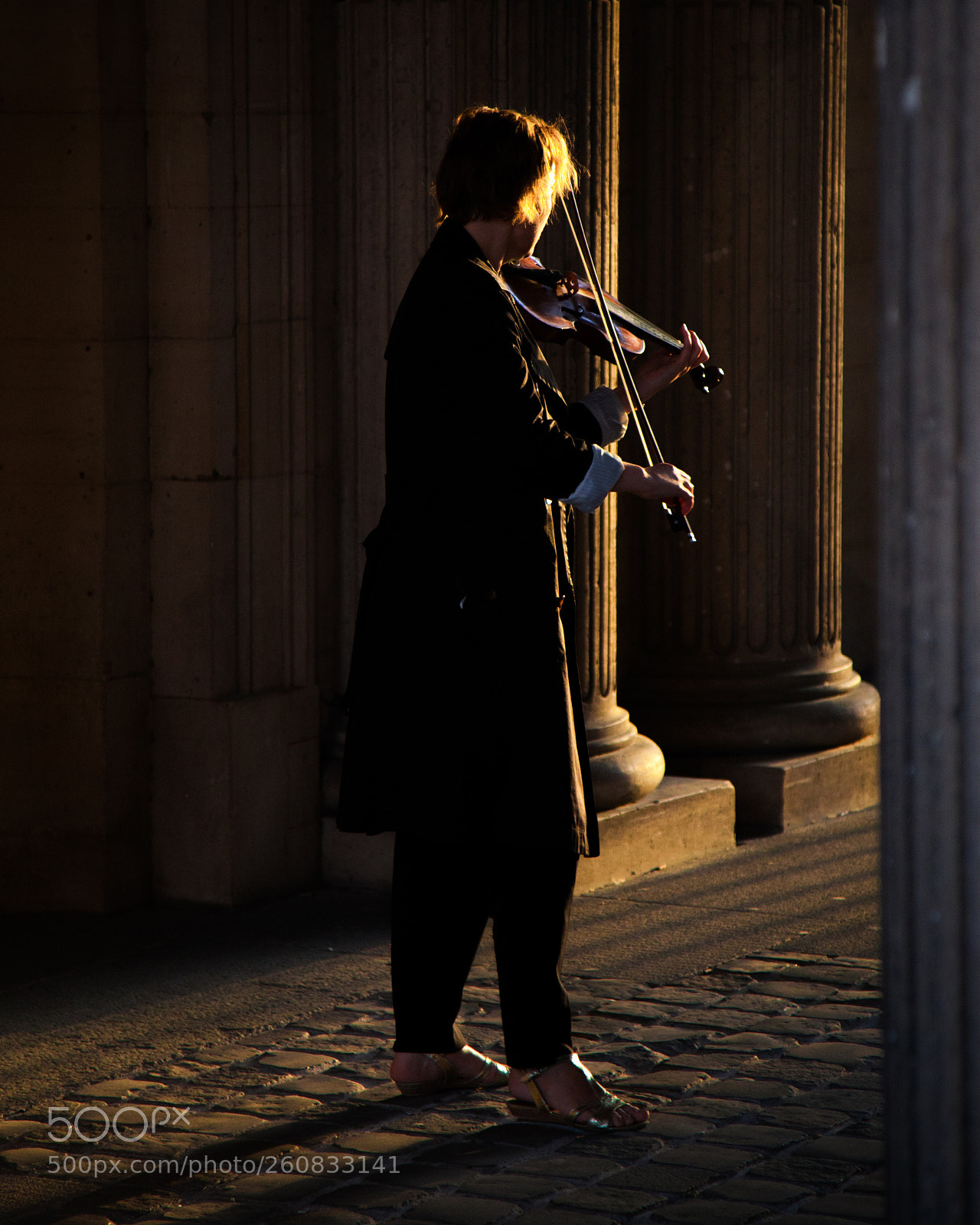 Canon EOS 5D Mark II sample photo. Violonist photography