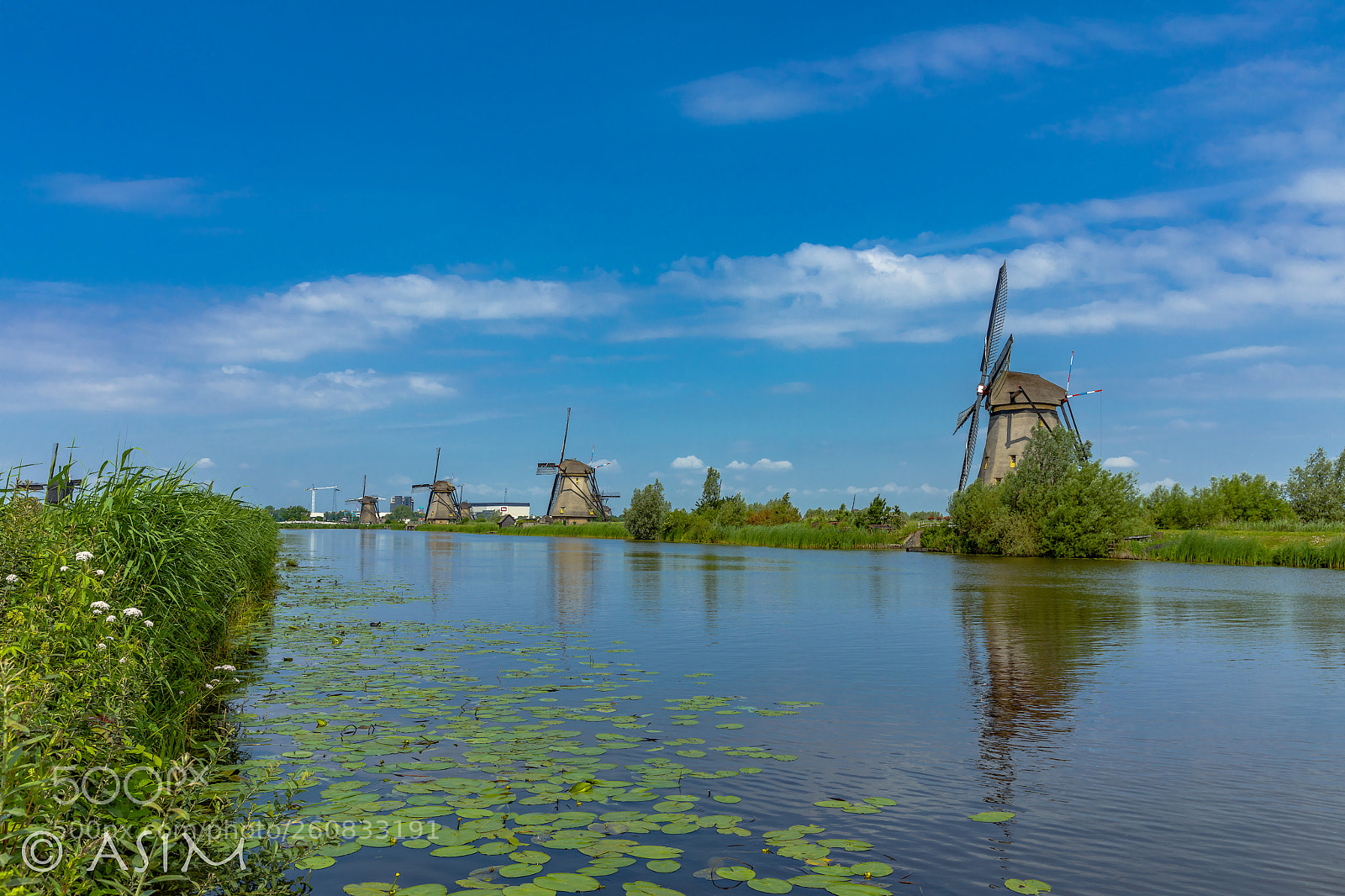 Canon EOS 5D Mark IV sample photo. Kingdom of beauty. photography