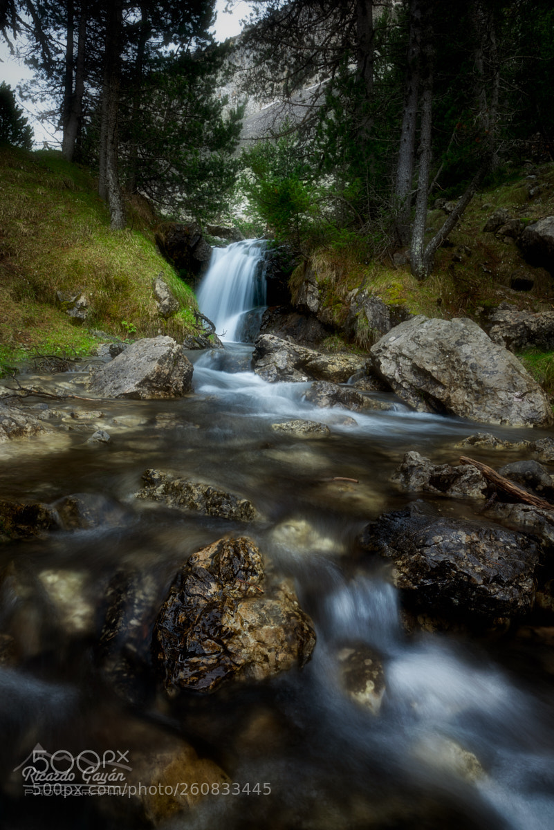 Sony a7R III sample photo. The cliff photography