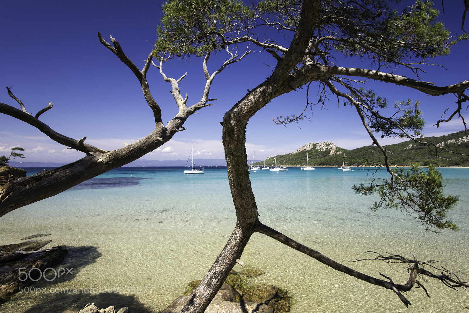 Sony Alpha DSLR-A850 sample photo. Porquerolles photography